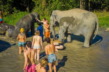Chiang Rai, Tayland - 01 Şubat 2018: Tanımlanamayan insanlar büyük bir fil orman kutsal, fil spa, filler ile banyo keyfini yakın