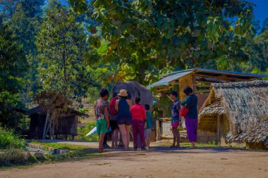 Chiang Rai, Tayland - 01 Şubat 2018: Kimliği belirsiz insanlar yakın büyük bir fil bir kil sokak orman kutsal Chiang Mai güzel açık görünümü