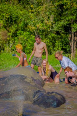 Chiang Rai, Tayland - 01 Şubat 2018: Etkinlik yerel yaşam tarzı ve banyo fil ile yaşamaya yabancı turist güzel açık manzarasına sahiptir. Turistler için ünlü etkinlik