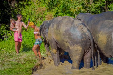 Chiang Rai, Tayland - 01 Şubat 2018: Açık kimliği belirsiz aileye yakın orman kutsal, fil spa, filler ile banyo Enjoy büyük filler görünümünü