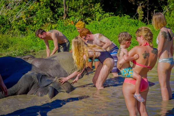 Chiang Rai, Tayland - 01 Şubat 2018: Yabancı turist yerel yaşam tarzı ve banyo fil nehir ile yaşamaya aktivite var. Ünlü etkinlik fot Chiang Mai turizm
