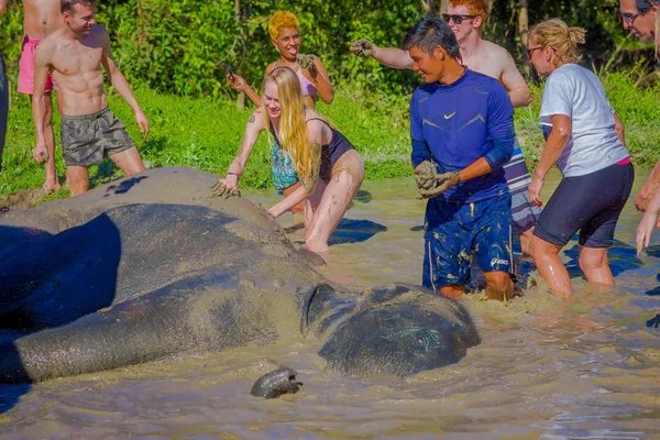 Chiang Rai, Tajlandia - 01 lutego 2018: Cudzoziemiec turystycznych mają aktywność doświadczenie lokalnego stylu życia i kąpieli ze słoniem w rzece. Fot słynnego aktywność turystyczna w Chiang Mai — Zdjęcie stockowe