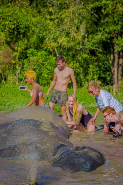 Chiang Rai, Tayland - 01 Şubat 2018: Etkinlik yerel yaşam tarzı ve banyo fil ile yaşamaya yabancı turist güzel açık manzarasına sahiptir. Turistler için ünlü etkinlik
