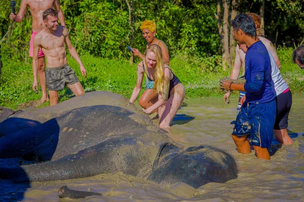 CHIANG RAI, THAILAND - 01 ФЕВРАЛЯ 2018: Foreigner Tourist have activity to experience the local lifestyle and bathing with elephant in river. Знаменитая деятельность для туристов в Чиангмае — стоковое фото