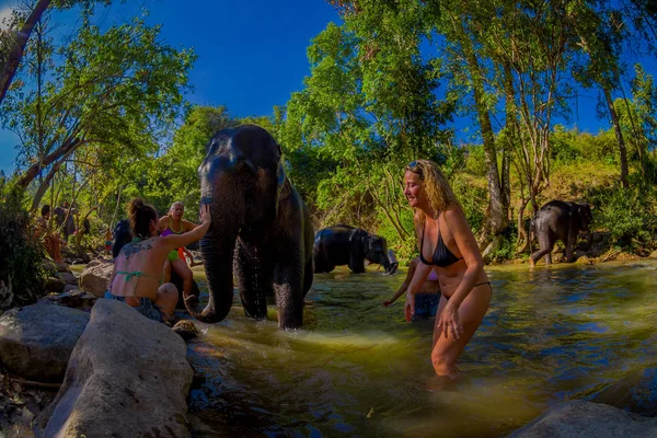Chiang Rai, Tayland - 01 Şubat 2018: Turist grubunun açık görünümü büyük bir elephant fil orman sığınak Chiang Mai adlı banyo mutluluk duyuyoruz