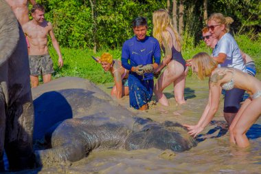Chiang Rai, Tayland - 01 Şubat 2018: Yabancı turist yerel yaşam tarzı ve banyo fil nehir ile yaşamaya aktivite var. Ünlü etkinlik fot Chiang Mai turizm