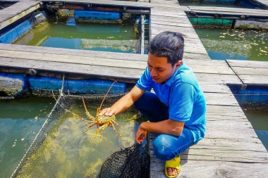 Ao Nang, Tayland - 19 Şubat 2018: Açık kimliği belirsiz recolecting çiftlik balık, ıstakoz görünümünü ahşap restoran deniz nehir, Krabi, Tayland Thailand küçük havuzlu