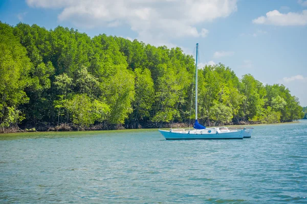 Outdoor view of beautiful yatch close to a mangrove in Krabi Province, Andaman Sea, South of Thailand — Stock Photo, Image