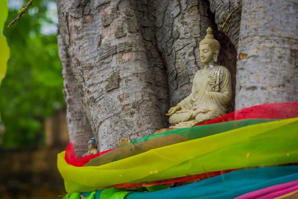 Close-up de foco seletivo do belo Buda em uma árvore na província de Ayutthaya — Fotografia de Stock