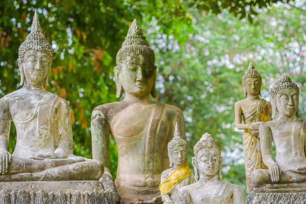 Außenansicht von Sukhothai historischen Park der Altstadt von Thailand alten Buddha-Statue am wat mahathat in Sukhothai historischen Park, Thailand — Stockfoto