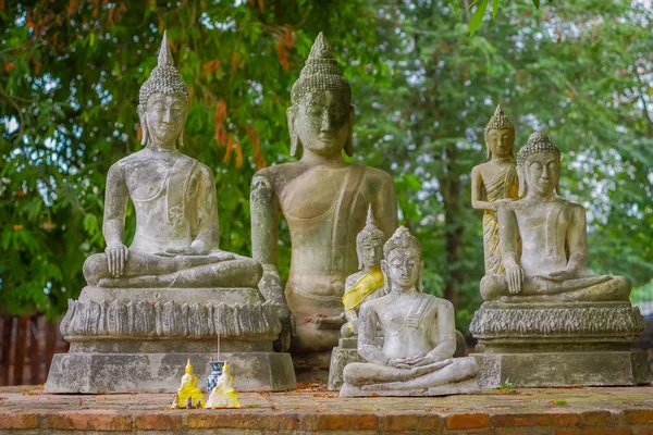 Vista ao ar livre do parque histórico de Sukhothai a cidade velha de Tailândia Estátua de Buda Antiga em Wat Mahathat no Parque Histórico de Sukhothai, Tailândia — Fotografia de Stock