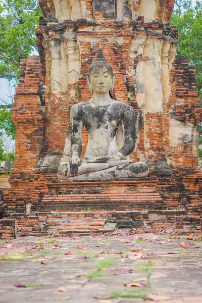 Blick auf den antiken Budha im Ayutthaya historischen Park in den Ruinen der alten Stadt — Stockfoto