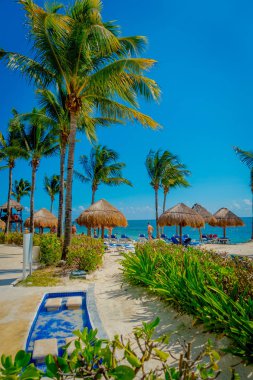 Bir Playa Del Carmen, Meksika - 09 Kasım 2017: Playacar beach, Karayip Denizi, Meksika, bu tesisi alanı olarak tanımlanamayan turist olan en güzel plajları ile popüler hedef