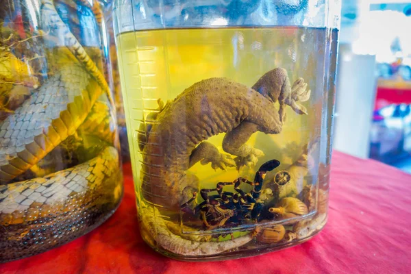 Primo piano di un geco all'interno di una fiaschetta di whisky, preparato dalla gente del posto su un'isola al largo della costa del Laos, nella Zona Economica Speciale del Triangolo d'Oro Chinatown — Foto Stock