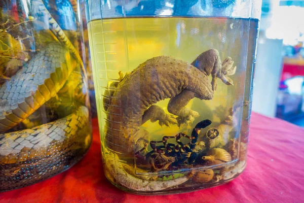 Primo piano di un geco all'interno di una fiaschetta di whisky, preparato dalla gente del posto su un'isola al largo della costa del Laos, nella Zona Economica Speciale del Triangolo d'Oro Chinatown — Foto Stock