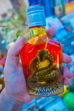 Close up of cobra inside of Whiskey prepared by locals on an island off the coast of Laos, at the Golden Triangle Special Economic atChinatown, these brews contain live cobra clipart