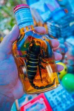 Akrep hayvan yerliler sahil Laos, Chinatown, altın üçgen, kapalı bir adada tarafından hazırlanan viski şişesi içinde kapatın. Bu brews canlı Akrep içerir