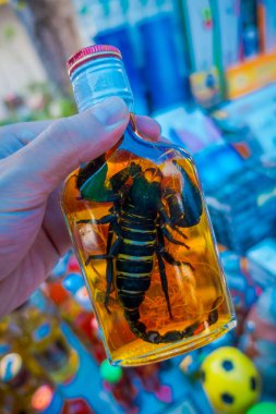 Akrep hayvan yerliler sahil Laos, Chinatown, altın üçgen, kapalı bir adada tarafından hazırlanan viski şişesi içinde kapatın. Bu brews canlı Akrep içerir