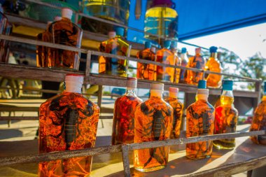 Yerliler sahil Laos, altın üçgen özel ekonomik bölge Chinatown, kapalı bir adada tarafından hazırlanan viski şişeler içinde ölü hayvanların yakın çekim