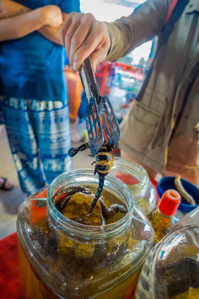 Primer plano del hombre usando una bandeja para sostener a un escolpión, y la tortuga dentro del frasco de whisky, preparado por los lugareños en Laos, en el Triángulo Dorado Zona Económica Especial Chinatown —  Fotos de Stock