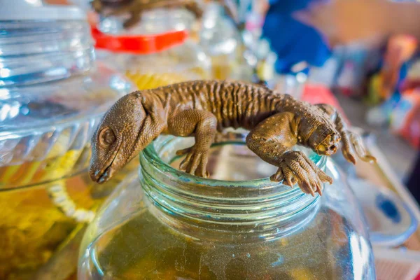 Primo piano del geco morto sopra una fiaschetta di whisky, preparata dalla gente del posto su un'isola al largo della costa del Laos, nella Zona Economica Speciale del Triangolo d'Oro Chinatown — Foto Stock