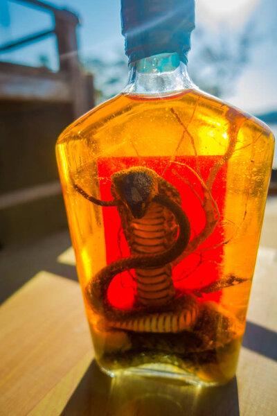 Крупный план кобры внутри Виски, подготовленный местными жителями на острове у берегов Лаоса, в Золотом треугольнике Специальный Экономический atChinatown, эти пивоварни содержат живую кобру
