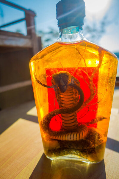 Крупный план кобры внутри Виски, подготовленный местными жителями на острове у берегов Лаоса, в Золотом треугольнике Специальный Экономический atChinatown, эти пивоварни содержат живую кобру
