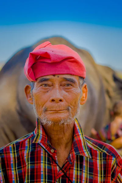 CHIANG RAI, THAILAND - FEBRUARY 01, 2018: Portrait of old man posing in in front of the elephant in a Jungle Sanctuary at Chiang Mai, during a gorgeous sunny day — Stock Photo, Image