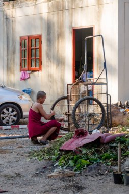 Chiang Rai, Tayland - 01 Şubat 2018: Açık görünüm tanımlanamayan rahip onun tryc yakın bir trycicle Chiang Mai, Tayland, sokak Temizleme yolda sabitleme