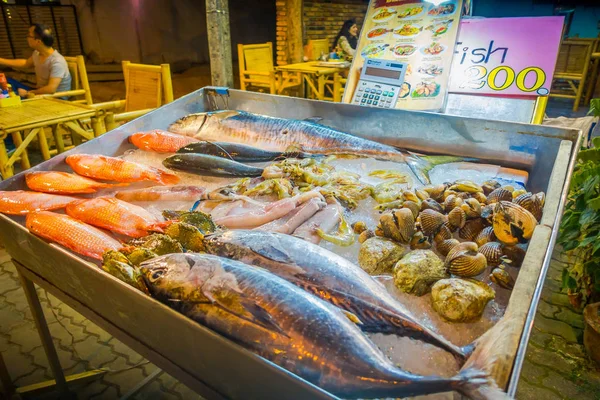 Primer plano de una variedad de animales marinos, peces, conchas, calamares, cangrejos sobre una bandeja metálica ubicada en Street food en Nopparat Thara Road en AO NANG —  Fotos de Stock