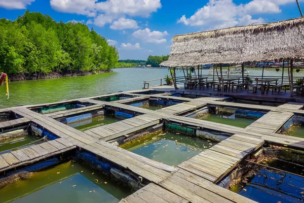 AO NANG, TAILANDIA - 19 DE FEBRERO DE 2018: Vista al aire libre de la granja pescado madera restaurante mar río Krabi Tailandia — Foto de Stock