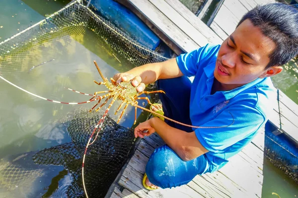 Ao Nang, Tayland - 19 Şubat 2018: Açık kimliği belirsiz recolecting çiftlik balık, ıstakoz görünümünü ahşap restoran deniz nehir, Krabi, Tayland Thailand küçük havuzlu — Stok fotoğraf