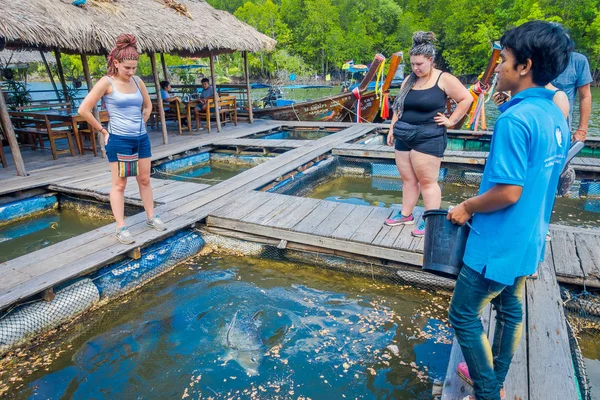 AO NANG, THAILAND - FEBRUARY 19, 2018: Outdoor view of unidentified people feeding a fish at Farm fish wood restaurant sea river with small pools at Krabi Thailand — Stock Photo, Image