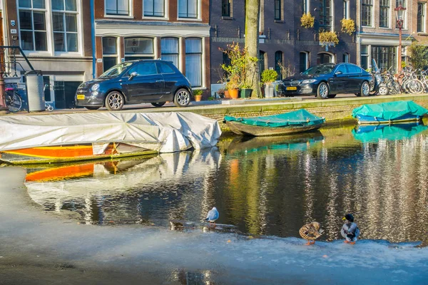 Amsterdam, Nederländerna, mars, 10 2018: Utomhus syn på några bilar parkerade nära till en båtar i kanalerna i Amsterdam, med ankor över isen, Amsterdam är den folkrikaste staden i Nederländerna — Stockfoto