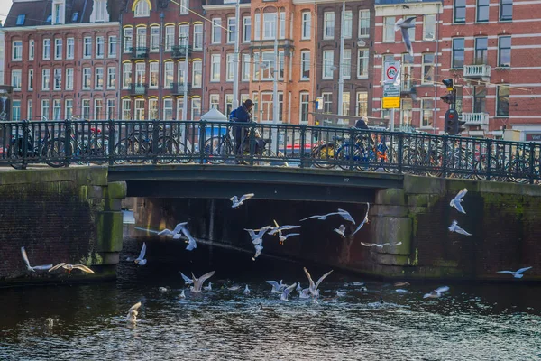 荷兰阿姆斯特丹, 3月, 10 2018: 人们走在一个古老的石桥在阿姆斯特丹的历史部分, 与一些 seaguls 和鸭子在水中, 在荷兰 — 图库照片