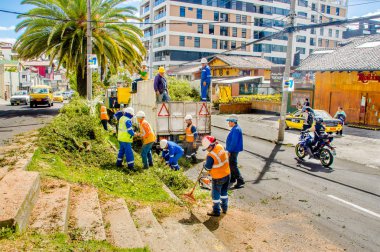 Quito, Ekvator - 26 Şubat 2018: Temizlik ve Fallen ağaçta Eloy Alafaro Avenue şubeler parçaları tespit Epmmop işçilerin açık görünüm