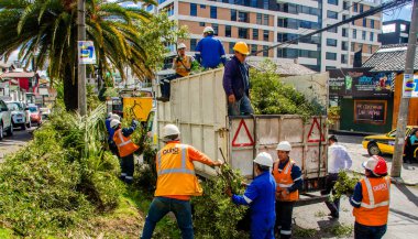 Quito, Ekvator - 26 Şubat 2018: Temizlik ve Fallen ağaçta Eloy Alafaro Avenue şubeler parçaları tespit Epmmop işçilerin açık görünüm