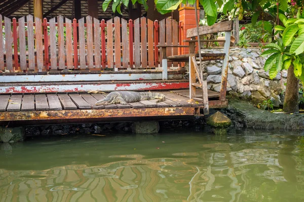 Outdoor view of reptile resting in a porche of a floating house on Bangkok — Stock Photo, Image