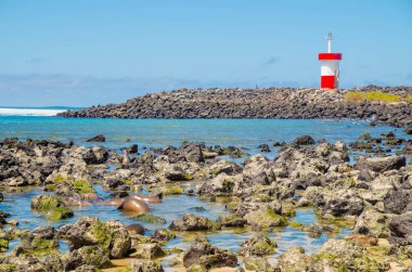 san cristobal galapagos Adaları'nda deniz feneri