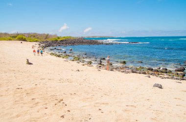 Galapagos Adaları muhteşem manzarası ile bazı turistler Galapagos Adaları suda yüzmek. Okyanusu ile kayalar