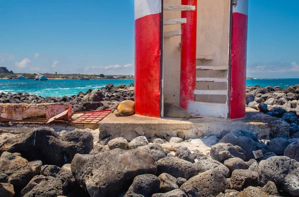 Faro en San Cristóbal Islas Galápagos —  Fotos de Stock