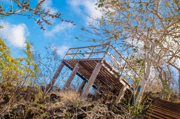 A hut on the Galapagos Islands surrounding of vegetation — Stock Photo, Image