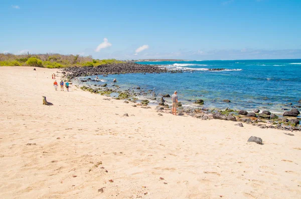 Vista deslumbrante das Ilhas Galápagos com alguns turistas nadando na água das Ilhas Galápagos. Com rochas no oceano — Fotografia de Stock