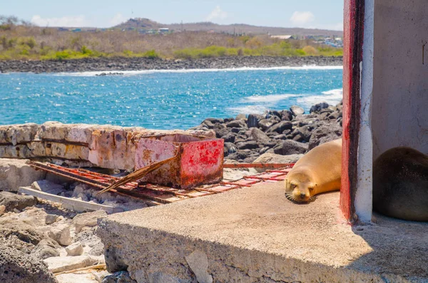 Leuchtturm auf den San Cristobal Galapagos Inseln — Stockfoto