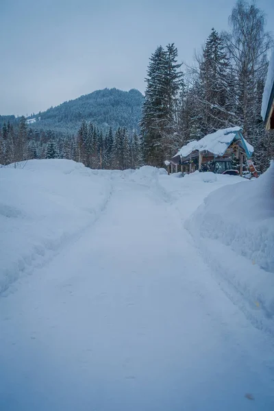 Перегляд зимових дорозі снігу і льоду в ліси Норвегії — стокове фото