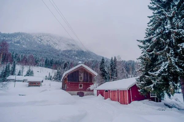 노르웨이의 아름 다운 자연 배경에서 눈으로 덮여 나무의 전통적인 노르웨이 산 붉은 집의 야외 보기 — 스톡 사진