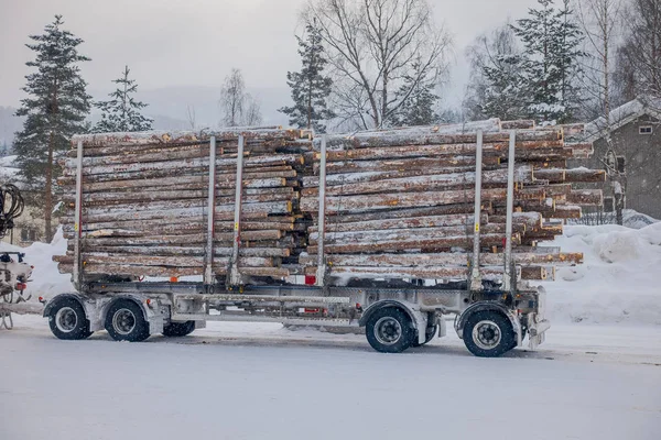 Valdres, Norsko-26. březen 2018: venkovní pohled na obrovské nákladní dopravní kmeny nebo dřevo na silnici pokryté sněhem během zimy v Norsku — Stock fotografie