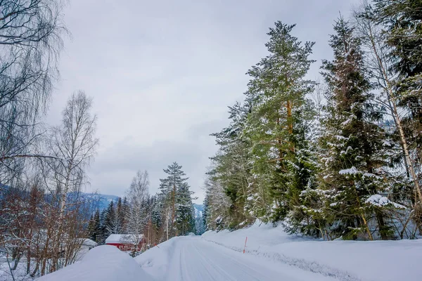노르웨이의 숲에서 눈과 얼음으로 덮인 겨울 도로의 야외 전망 — 스톡 사진
