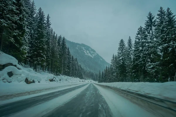 Veduta della strada invernale neve e ghiaccio nella foresta della Norvegia — Foto Stock