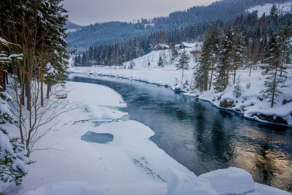 Beautiful outdoor view of river with a pine trees at the riverside, during a sunrise reflecting in the water, wild nature in Norway — Stock Photo, Image